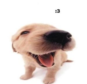 Meet your Posher, Maya